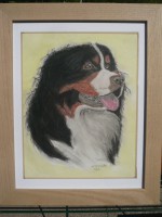 /album/galerie-photos/p1150018-jpg/