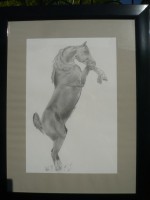 /album/galerie-photos/p1150023-jpg/