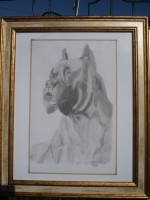 /album/galerie-photos/p1150024-jpg/