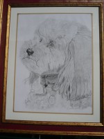 /album/galerie-photos/p1150025-jpg/