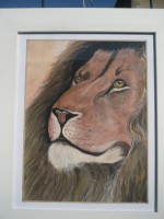 /album/galerie-photos/p1150030-jpg/
