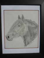 /album/galerie-photos/p1150031-jpg/